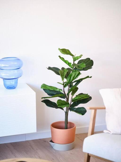 Hugo By The Harbor, Light-filled And Centrally Located - Free Parking Apartamento Ostende